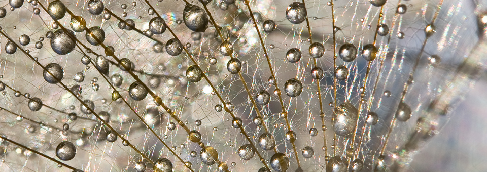 Naturheilpraxis - Kinderwunsch - Menstruations­beschwerden - Hormonelle Dysbalancen - Wechseljahre - Heilpraktiker Kassel