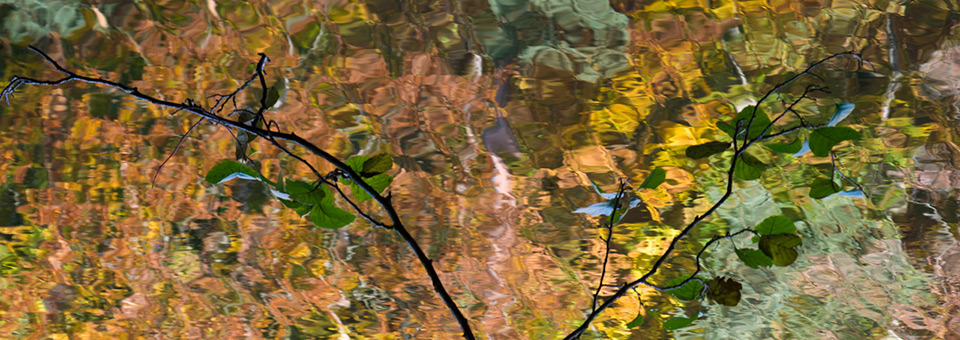 Heilpraktiker Kassel